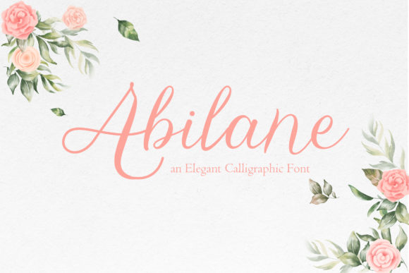 Abilane: The Elegant Script Font for Modern Branding