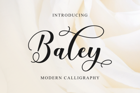 Baley Script Font for Elegant Business Branding