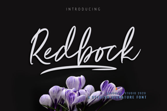 Redbock: A Flowing Script Handwritten Font for Web Design