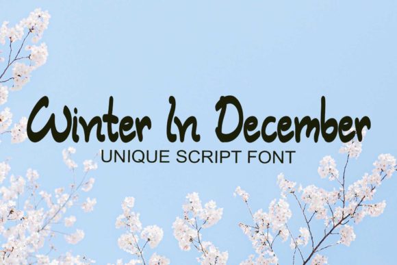 Winter in December: A Playful Script Font for Editorial Design